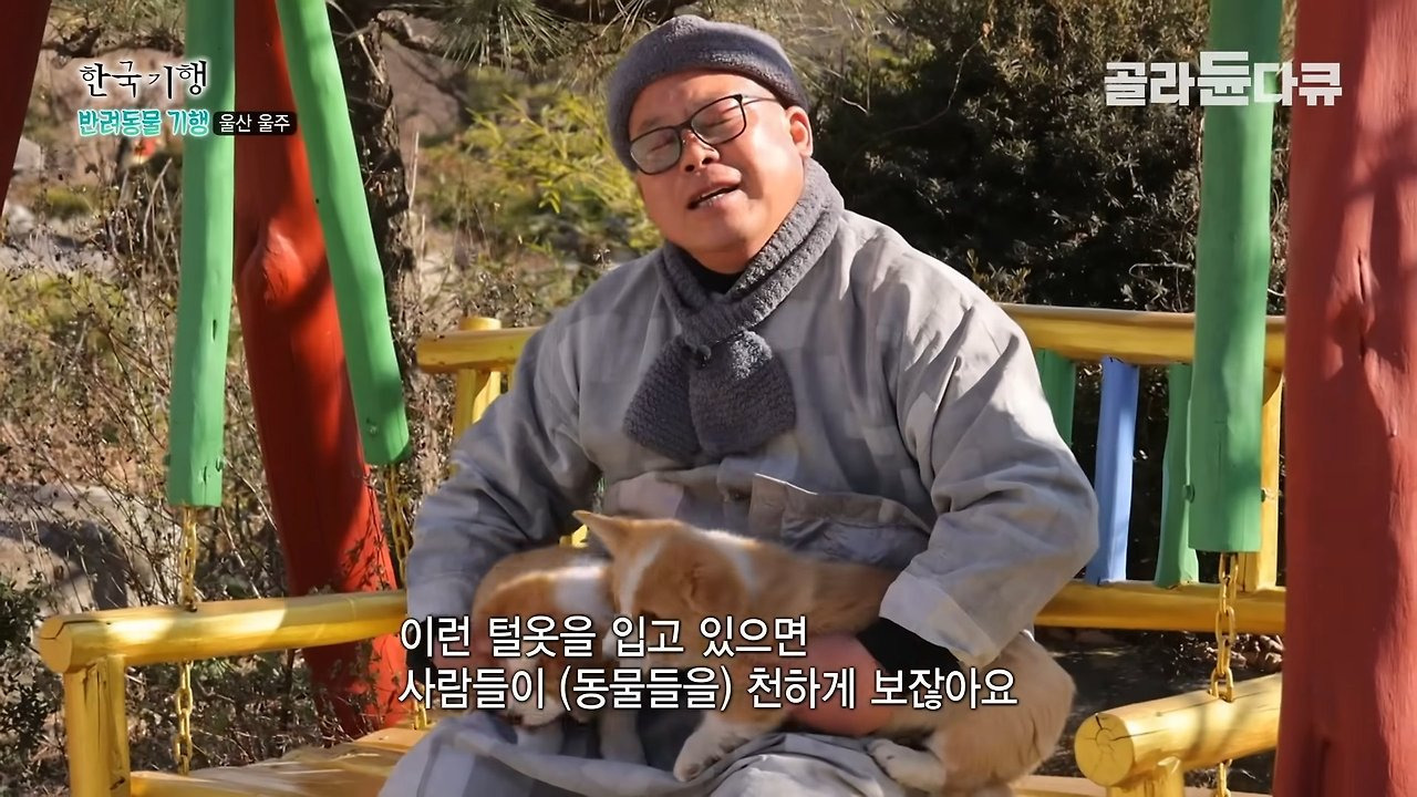 사찰에서 키우는 강아지들 이름이 샤넬, 로이스, 로또인 이유 | 인스티즈