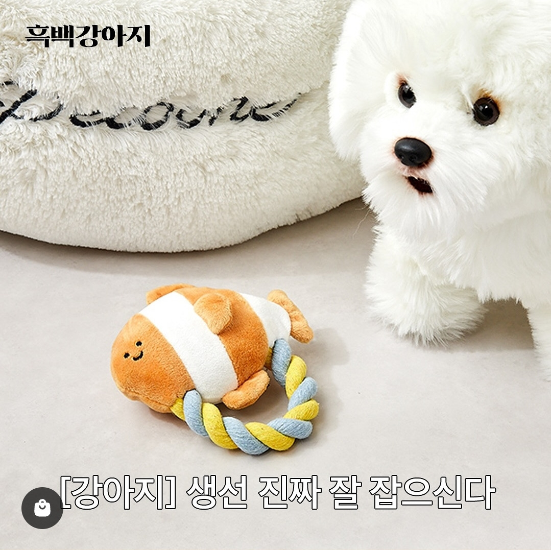 반려견 용품 시장이 얼마나 트렌드에 민감한지 증명해 보겠습니다 feat.흑백요리사 | 인스티즈