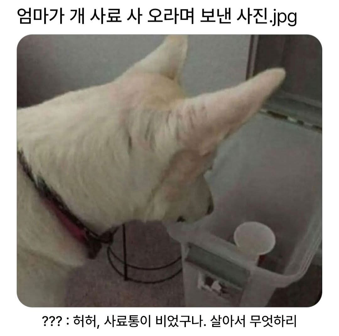 엄마가 사료 사오라고 사진을 보내주셨다.jpg | 인스티즈