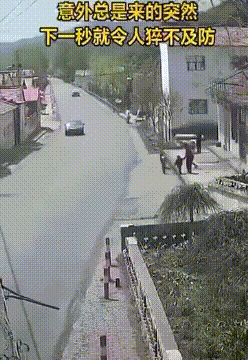 차 다니는 도로에 갑자기 뛰어든 꼬맹이가 차에 치여 공중제비.gif | 인스티즈