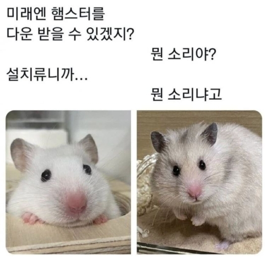 미래엔 햄스터를 다운받을 수 있겠지? | 인스티즈