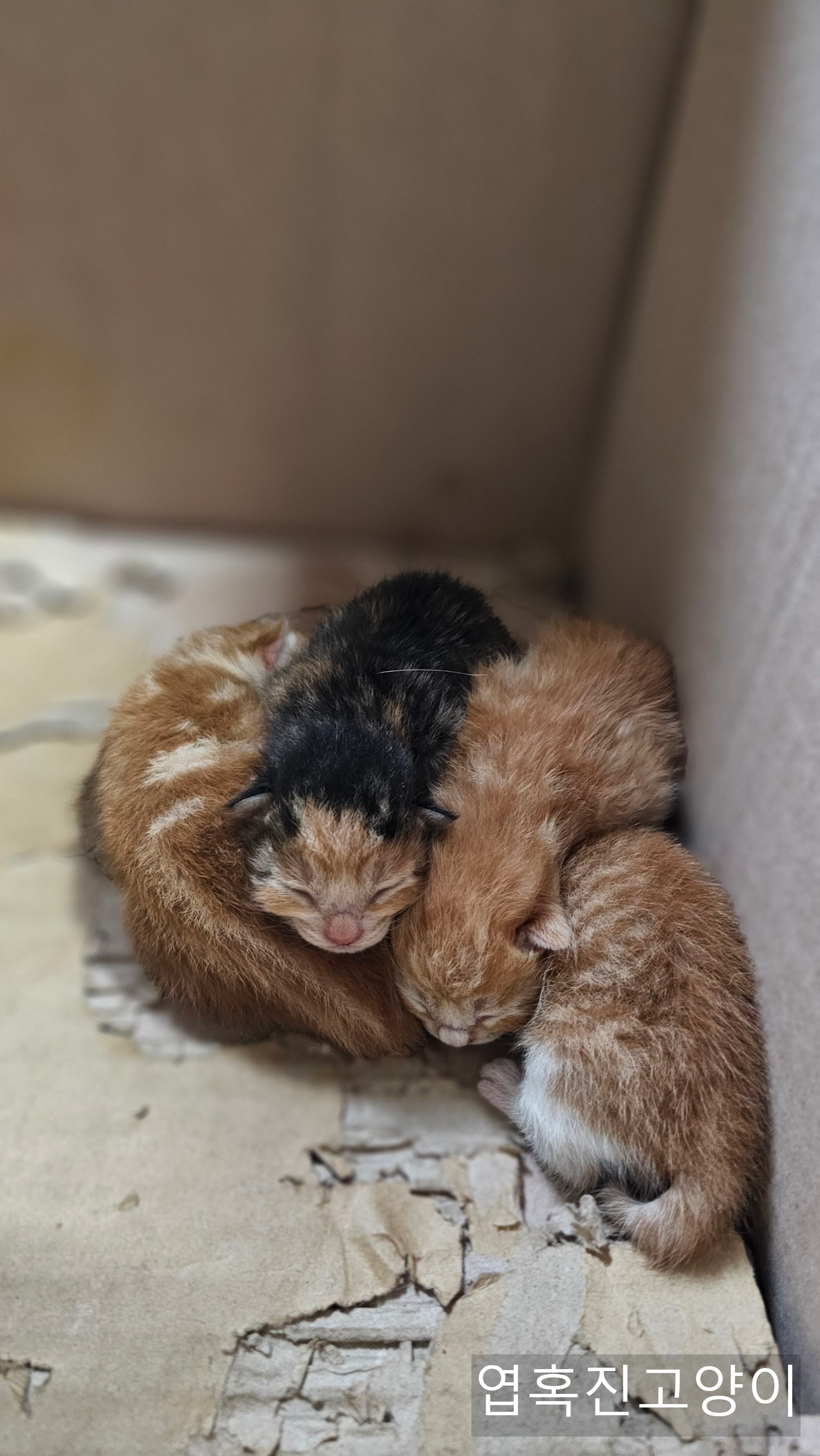 우리회사 복지자랑ㅎ | 인스티즈