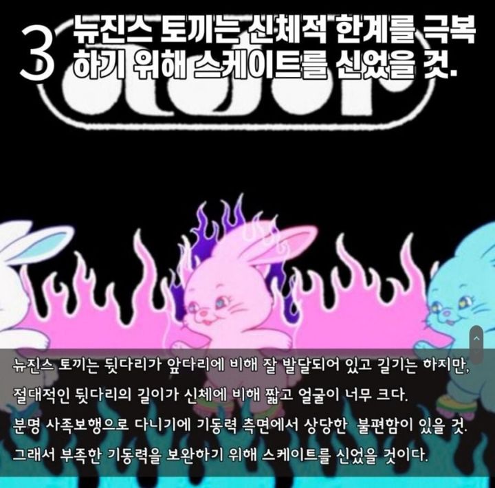 수의사가 분석하는 뉴진스 토끼 특징 | 인스티즈