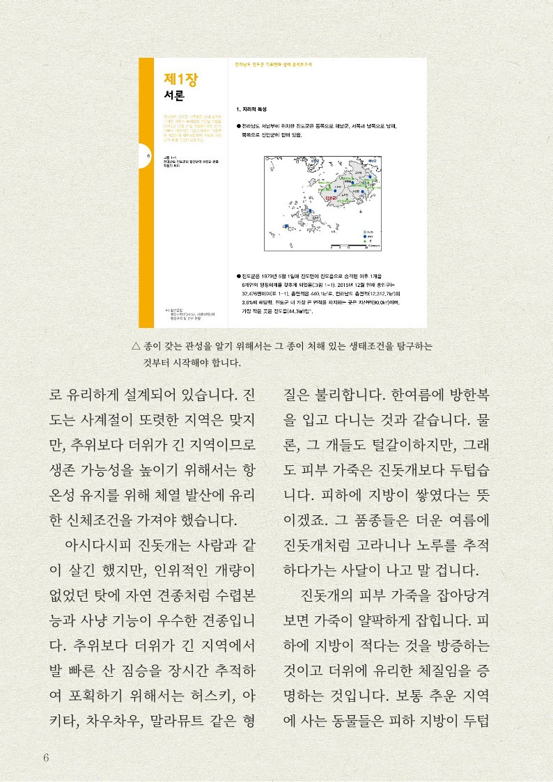 나만 몰랐던 '진돗개' 이야기ㅠㅠ | 인스티즈