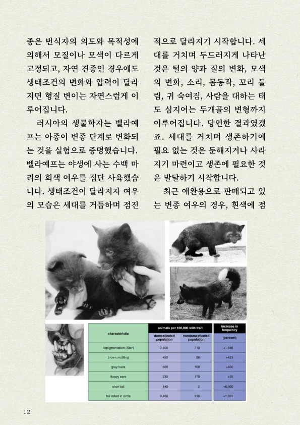 천재 진돗개의 '털' 감각 | 인스티즈