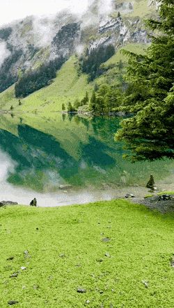 ⛰☀️스위스의 여름.gif | 인스티즈