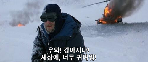 작은 강아지의 질주 | 인스티즈