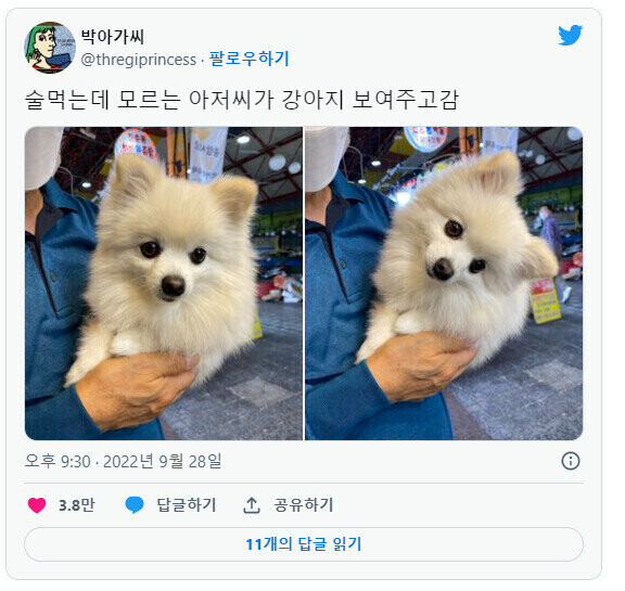 동물 자랑하고픈 마음 외쿡도 똑같다 | 인스티즈