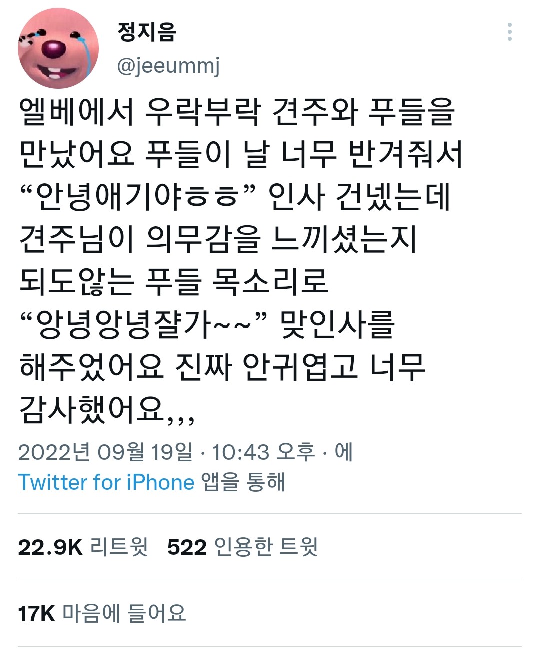 엘리베이터에서 푸들을 만난 한 트위터리안 | 인스티즈