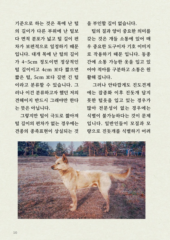 천재 진돗개의 '털' 감각 | 인스티즈