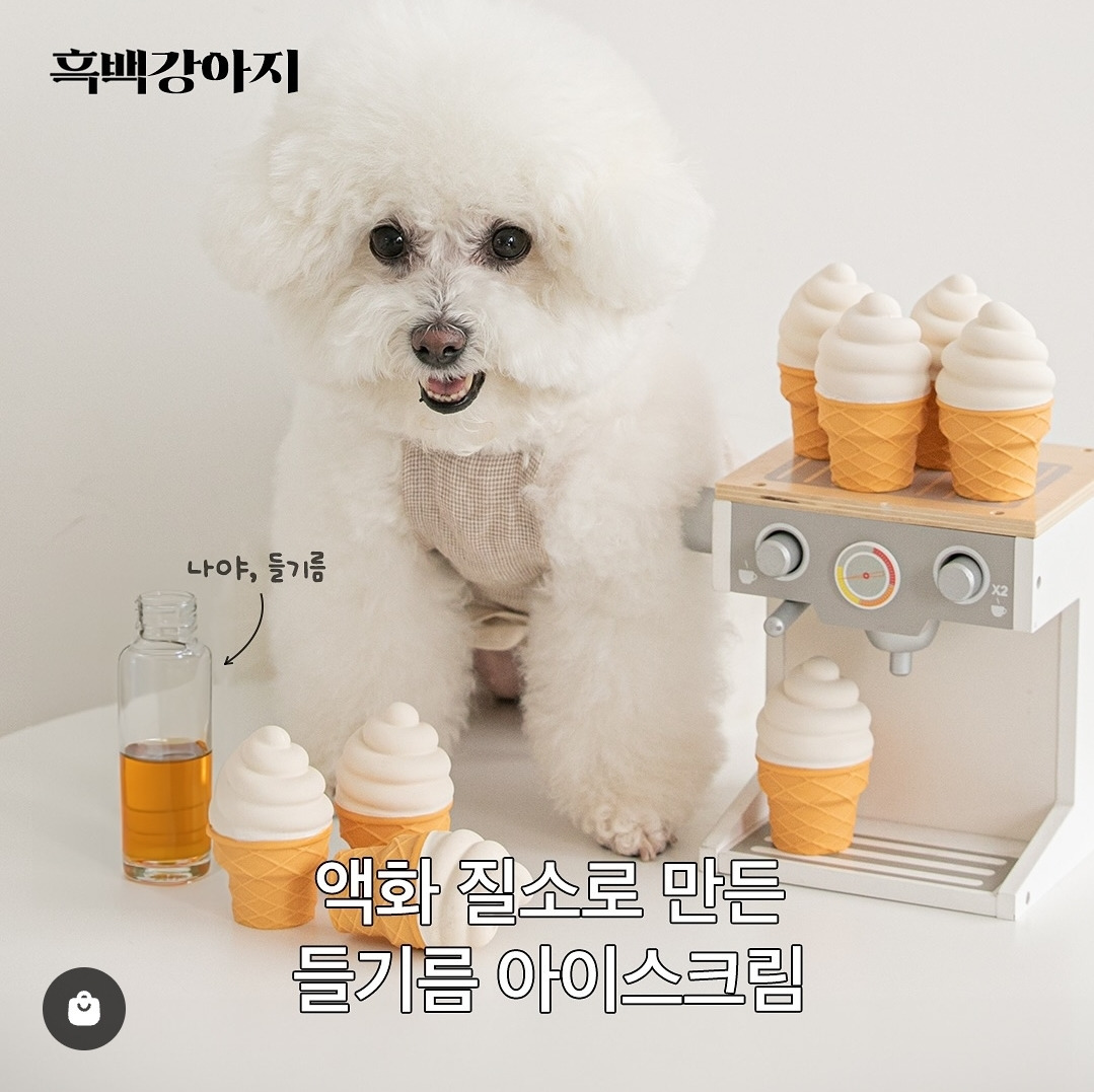 반려견 용품 시장이 얼마나 트렌드에 민감한지 증명해 보겠습니다 feat.흑백요리사 | 인스티즈