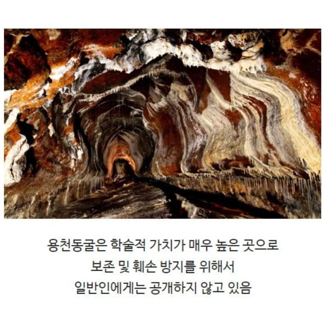 전신주 교체하다가 발견한 세계 | 인스티즈