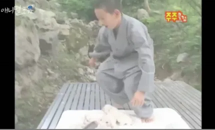 계곡물에 빠진 강아지를 본 동자승의 반응 | 인스티즈