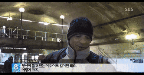 뉴욕 쥐 크기(혐오주의) | 인스티즈