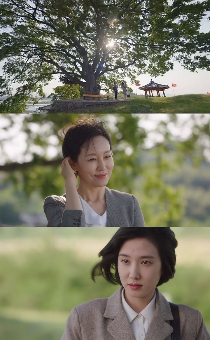 우영우ㅅㅍ) 이번화 팽나무가 상징적인 이유 | 인스티즈