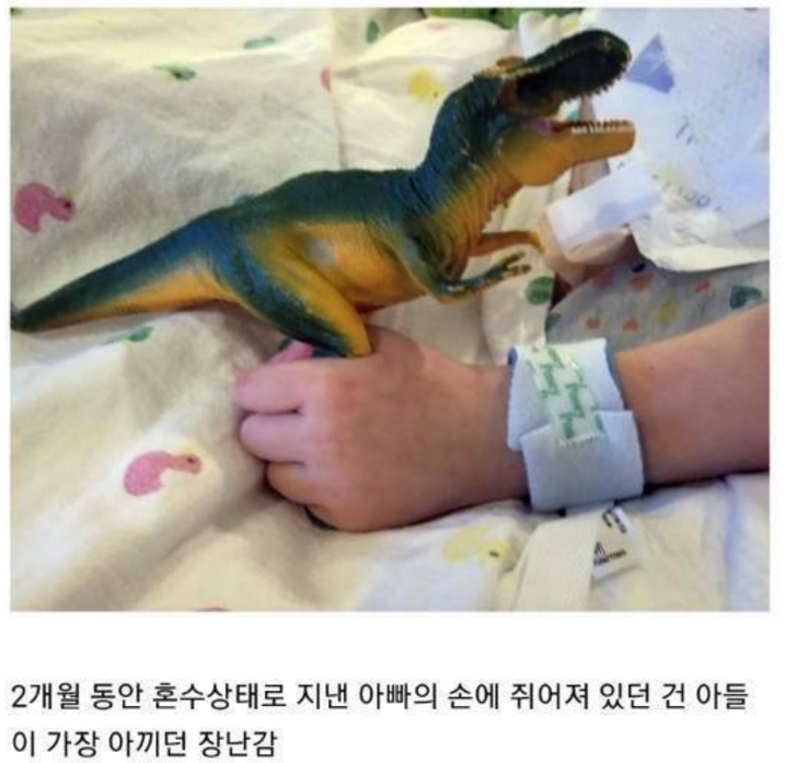 가슴이 따뜻해지는 사진들 모음 | 인스티즈