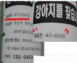 선호 이미지