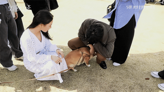 이도현 드라마 촬영장에서 반려견 가을이랑.gif | 인스티즈