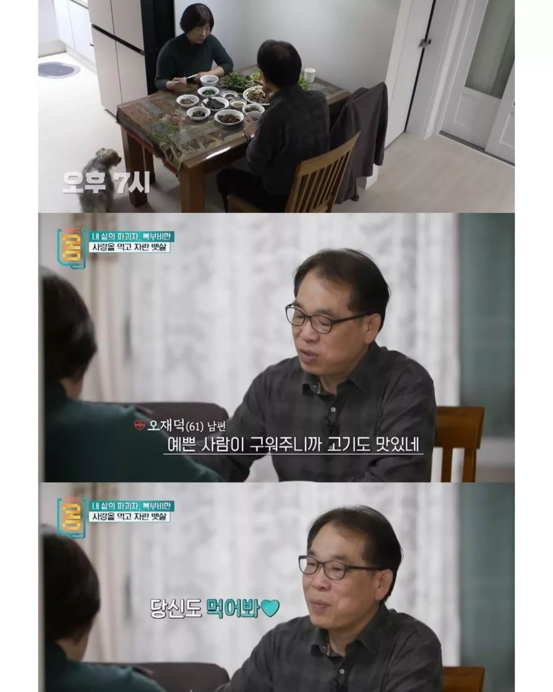 다큐에 나온 남편의 정석 | 인스티즈