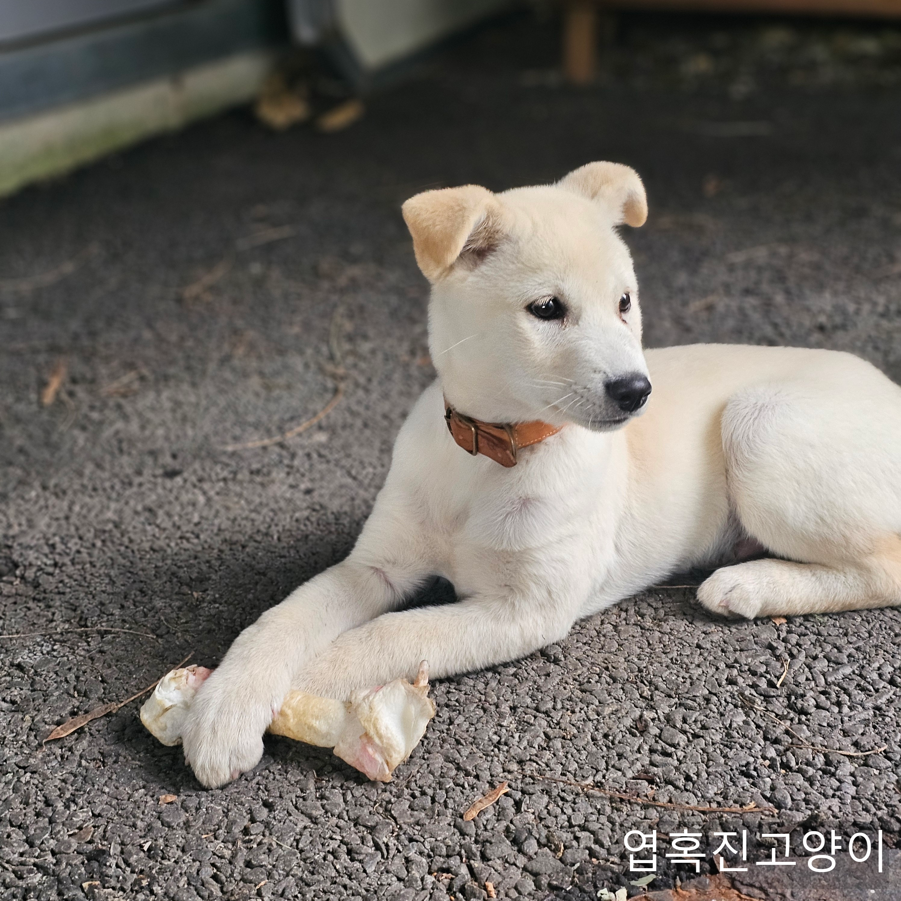 우리회사 복지자랑ㅎ | 인스티즈