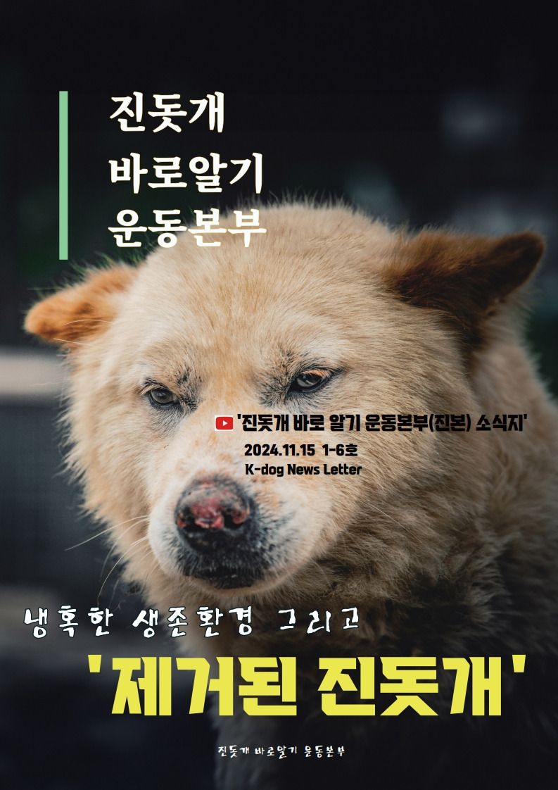 냉혹한 생존 환경 그리고 '제거된 진돗개' | 인스티즈