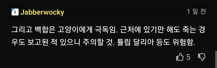 백합에 대한 의외의 사실 | 인스티즈