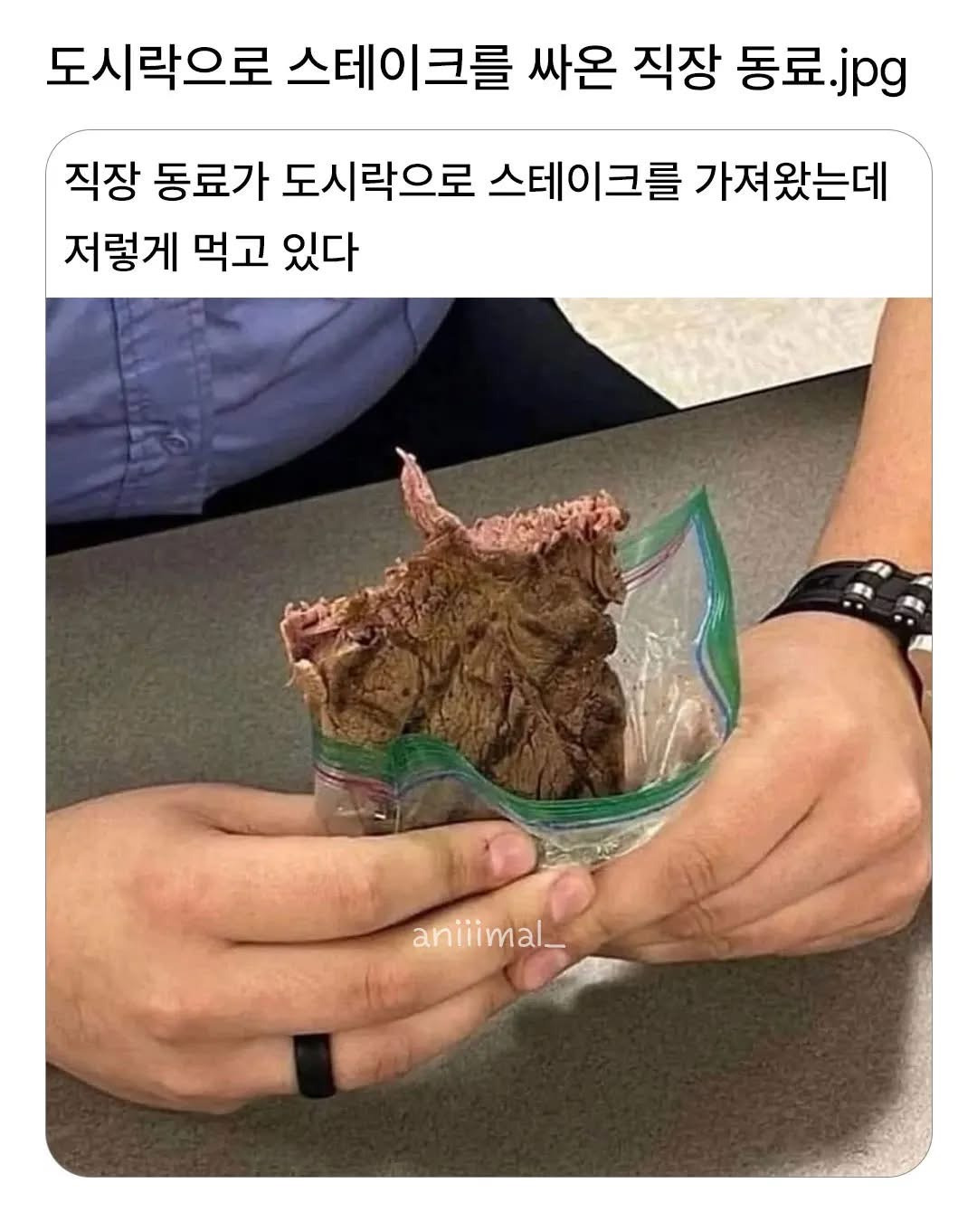 도시락으로 스테이크를 싸 온 직장동료 | 인스티즈