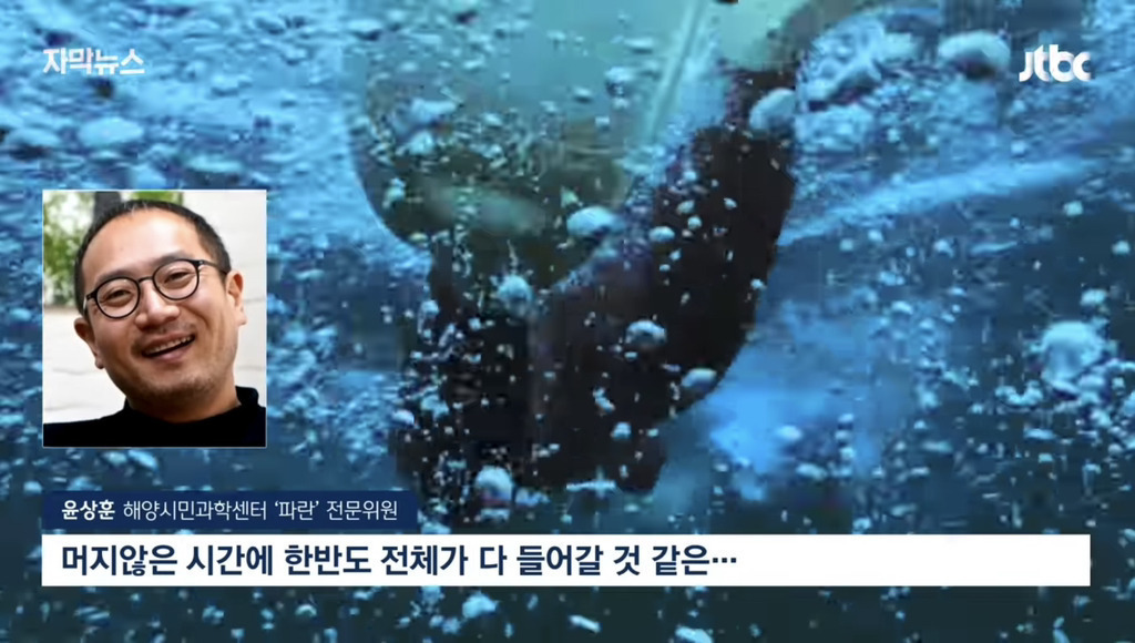 심각하다는 서귀포 바다 근황 | 인스티즈