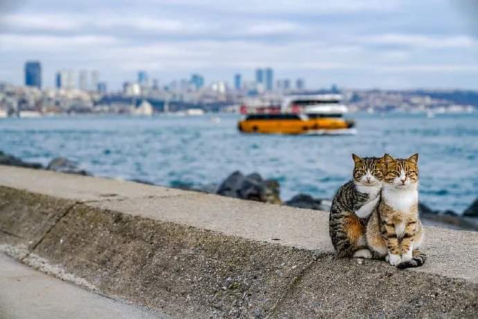 바다에서 찍었는데 웨딩사진 같아 | 인스티즈