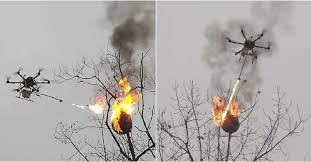 (벌주의) 생각보다 철저한 비즈니스인 관계, 꿀벌 | 인스티즈