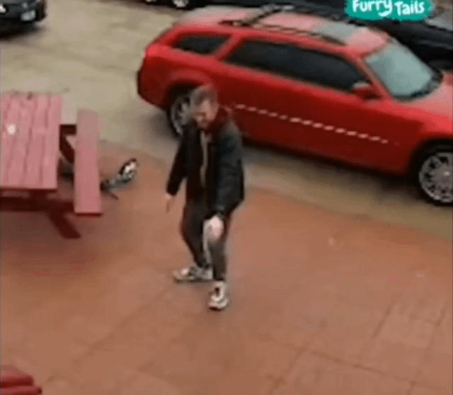 강아지와 빙판길을 올라가는 방법 | 인스티즈