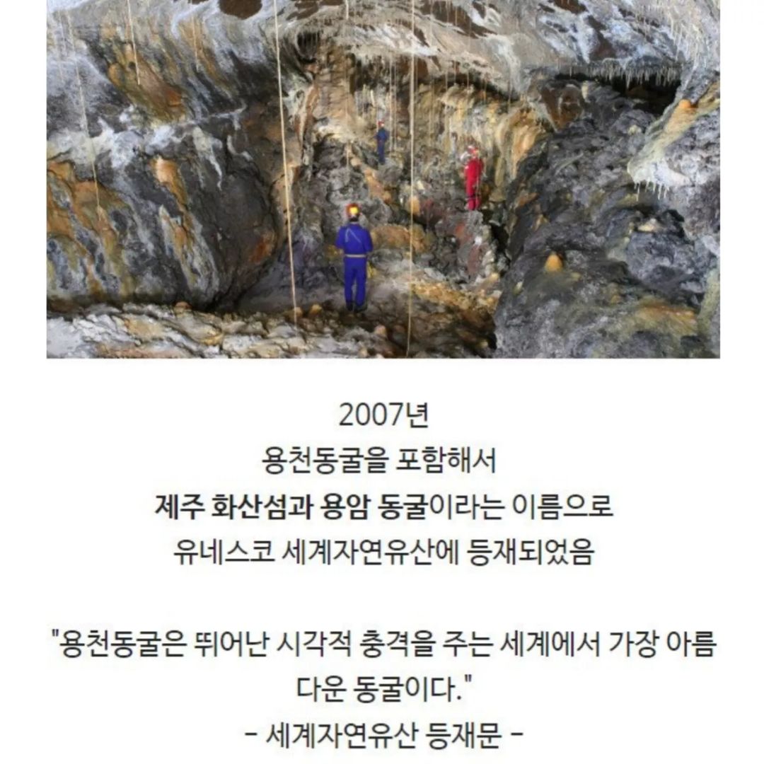전신주 교체하다가 발견한 세계 | 인스티즈