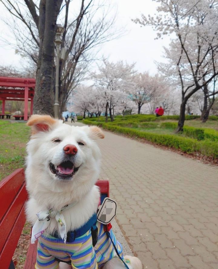 진도믹스 보고가세요 | 인스티즈
