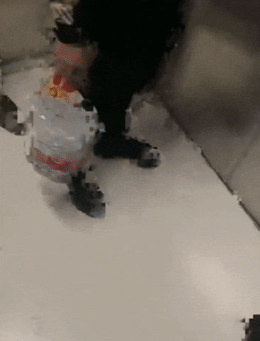 엘리베이터에 탄 사람들이 무서운 댕댕이 | 인스티즈