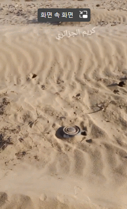 야 이거 밟아도 안 죽는다니깐 | 인스티즈