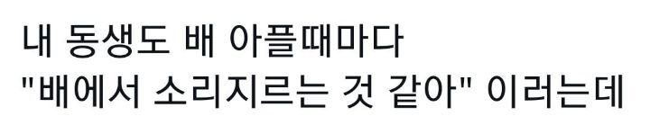 말 배우는 애기들이 쓰는 언어.jpg | 인스티즈