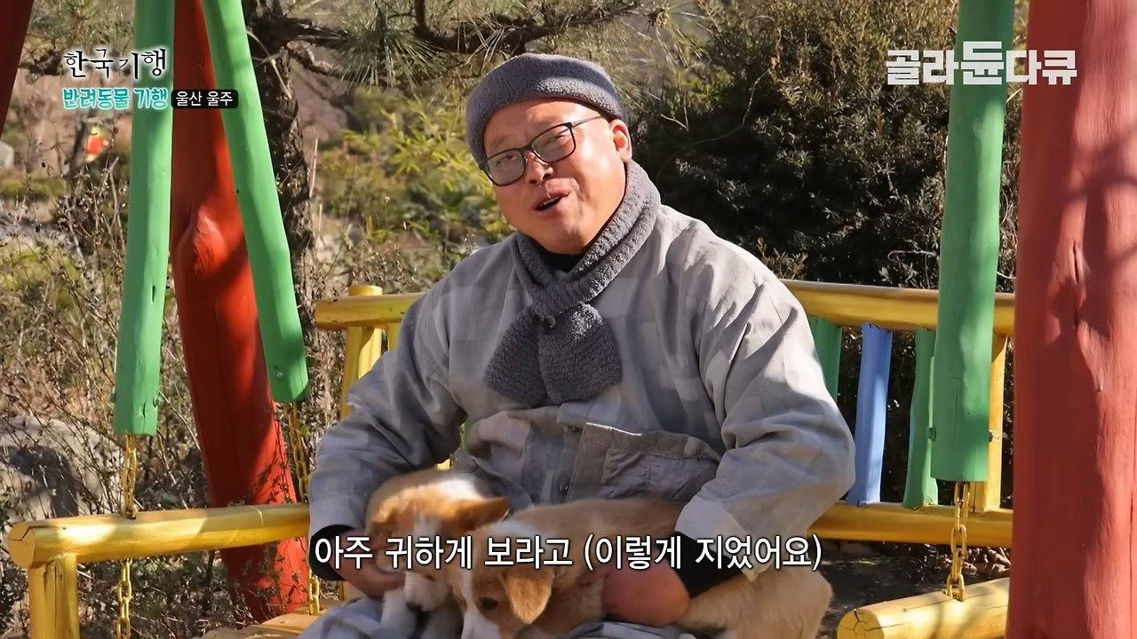 사찰에서 키우는 강아지들 이름이 샤넬, 로이스, 로또인 이유 | 인스티즈