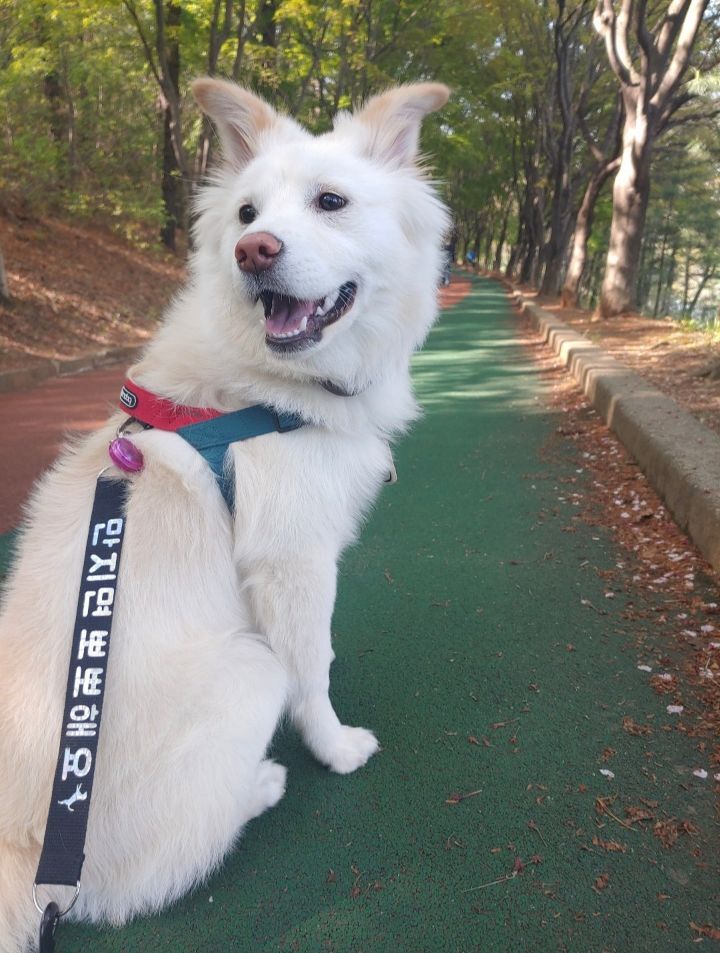 진도믹스 보고가세요 | 인스티즈