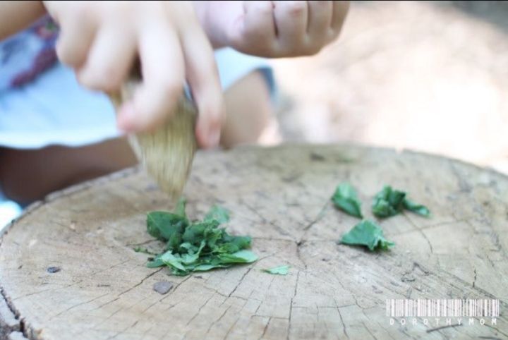 돌멩이 갈고 풀 찧어서 소꿉놀이 해 본 분들은 자리에서 일어나주세요 | 인스티즈
