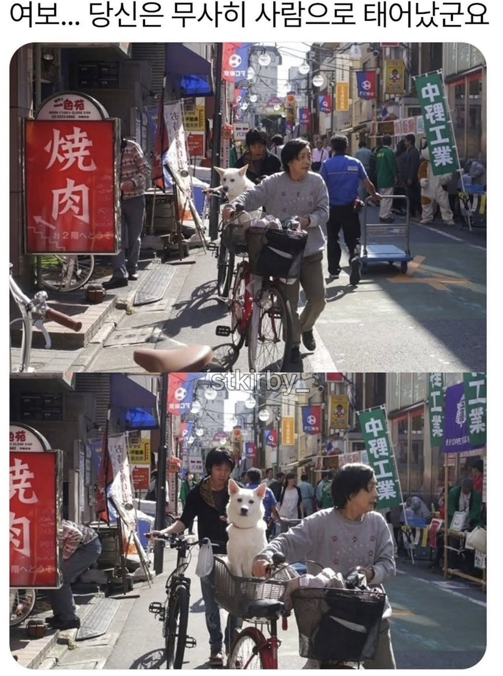 ??:당신은 무사히 사람으로 태어났구려 | 인스티즈