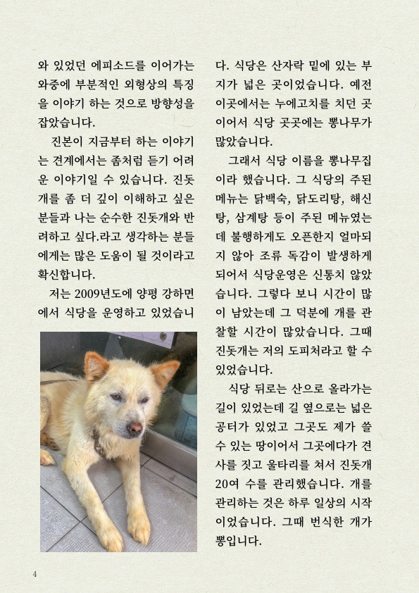 '진돗개' 타고난 감각 지능 | 인스티즈