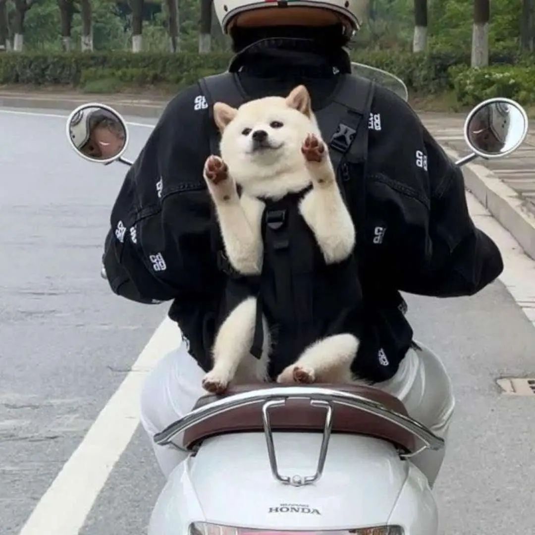 도로에서 만난 미소천사 | 인스티즈