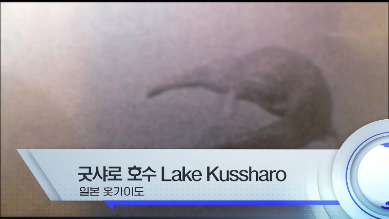 세계각국의 크립티드 영상 모음 | 인스티즈