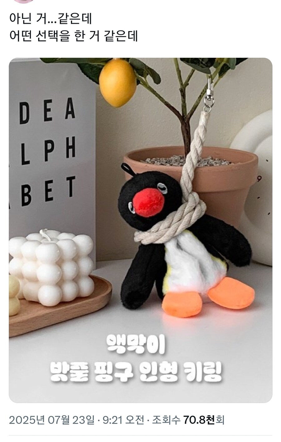 액막이 핑구 | 인스티즈