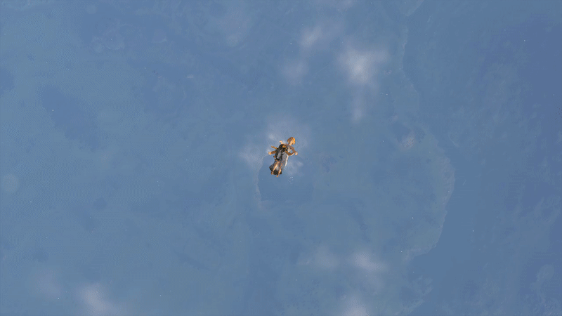 젤다의 전설 마지막 명장면 애니화 | 인스티즈