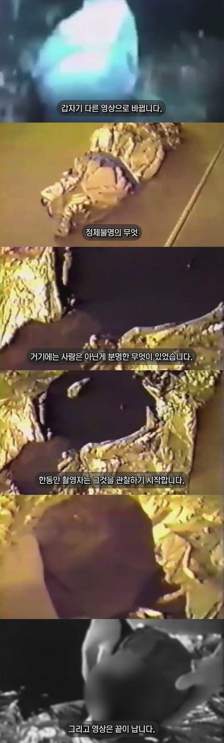 외계인을 통나무로 때려잡은 사건?! 영상 및 사진 공개 [열람주의] | 인스티즈