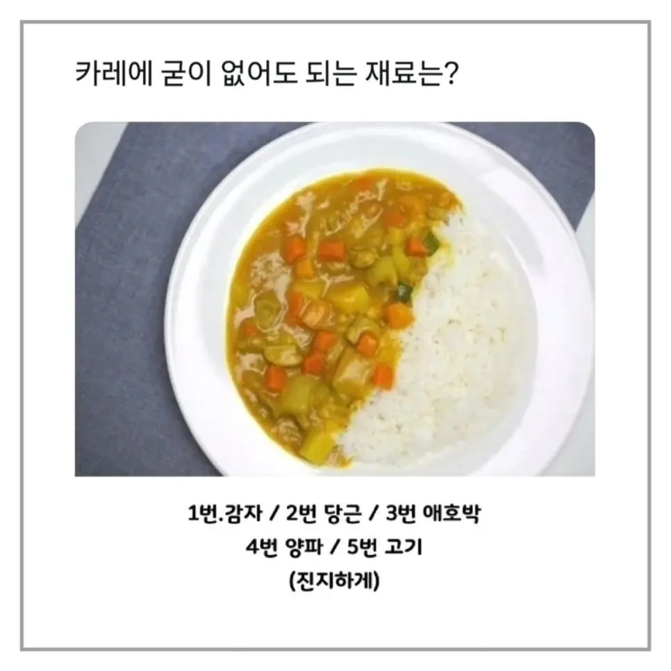 카레에 없어도 되는 재료는? | 인스티즈