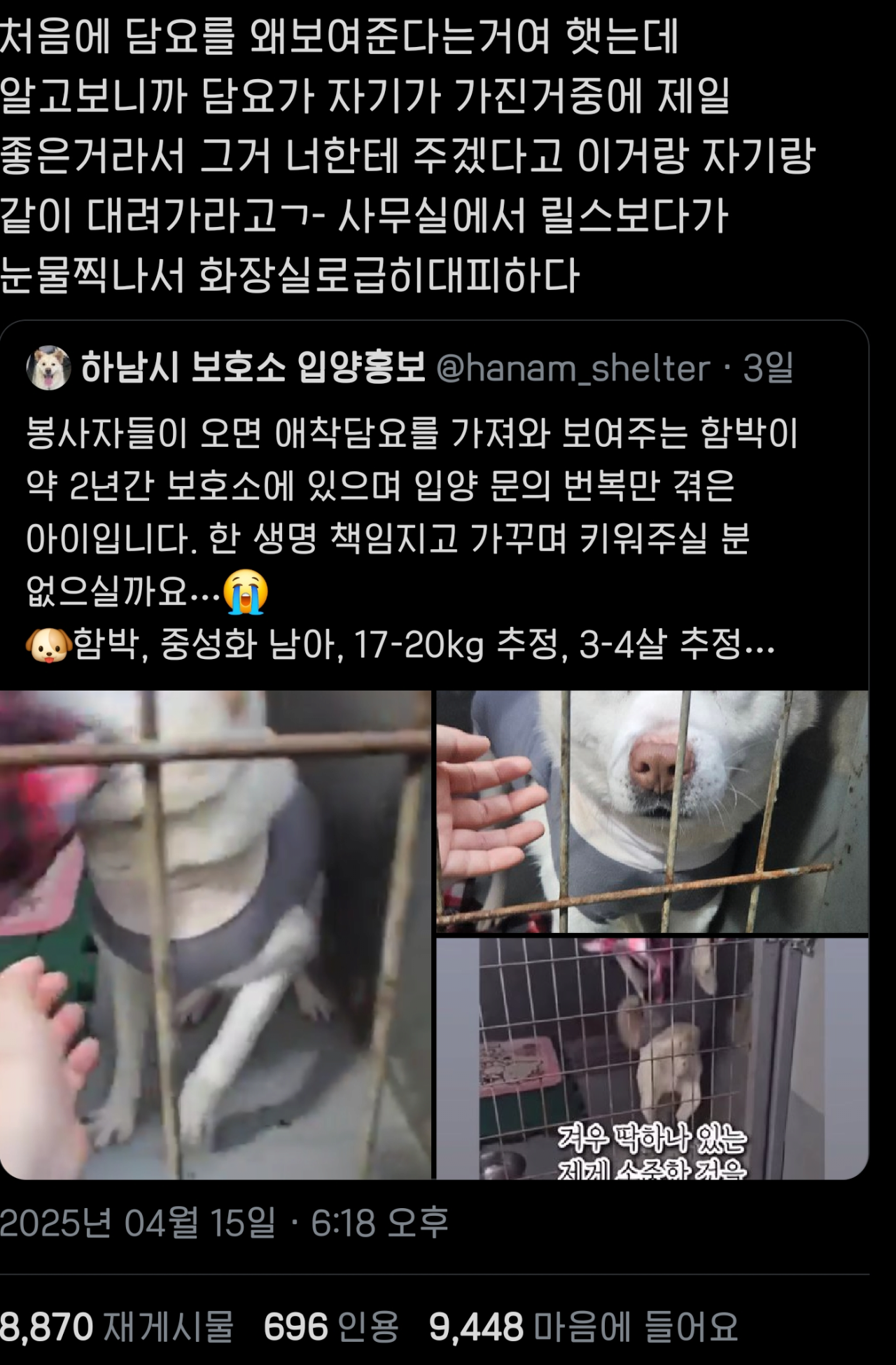자기가 가장 좋아하는 담요 보여주는 강아지 | 인스티즈