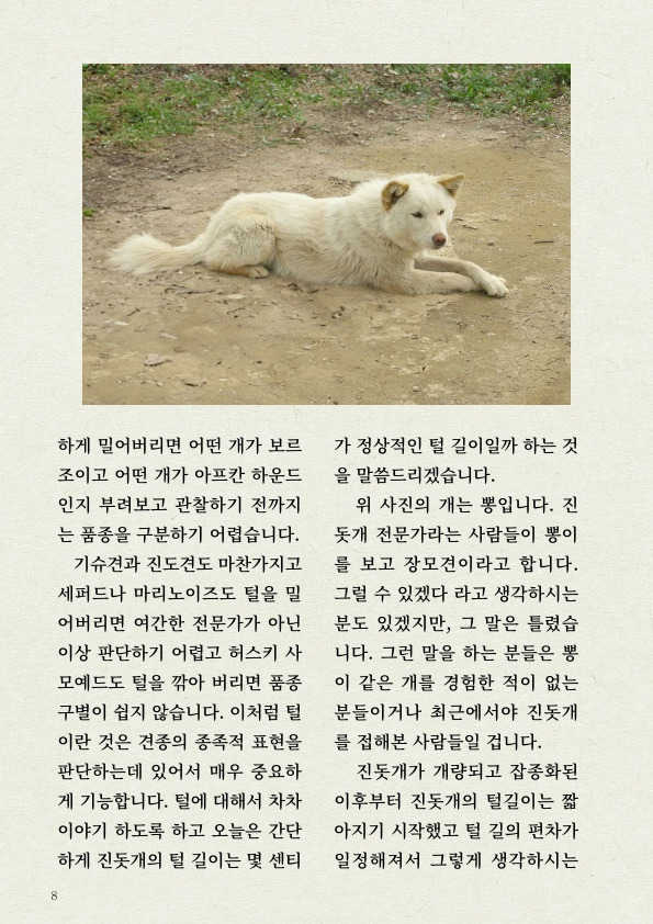 천재 진돗개의 '털' 감각 | 인스티즈