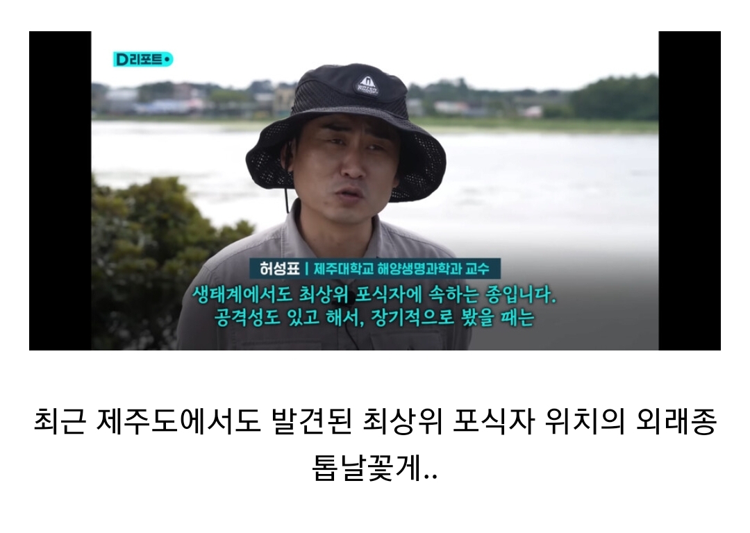생태계 교란종 근황 | 인스티즈